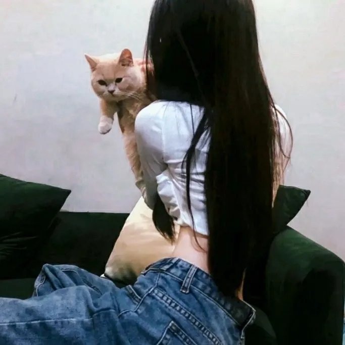 锁爱于心